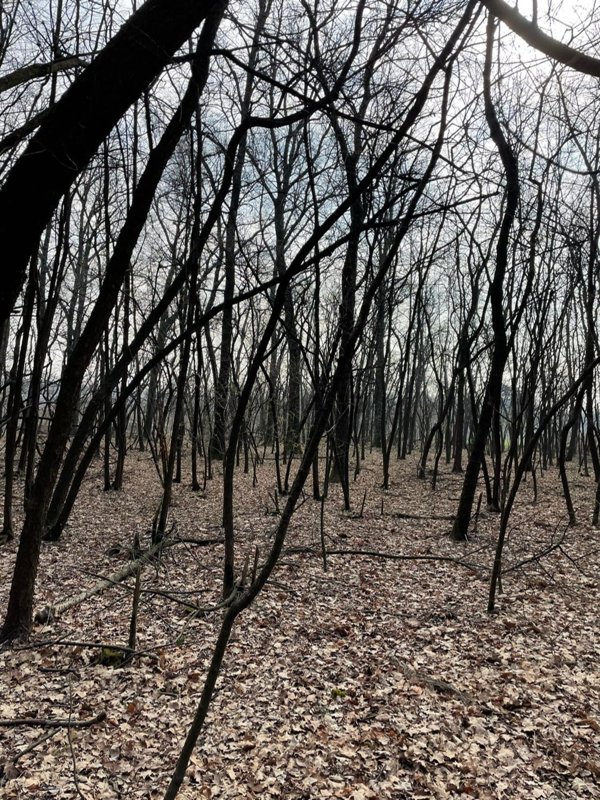 terreno in vendita a Busto Arsizio