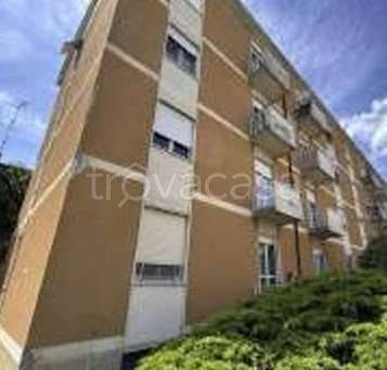 appartamento in vendita a Busto Arsizio