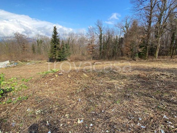 terreno edificabile in vendita a Cadegliano-Viconago in zona Pradaccio