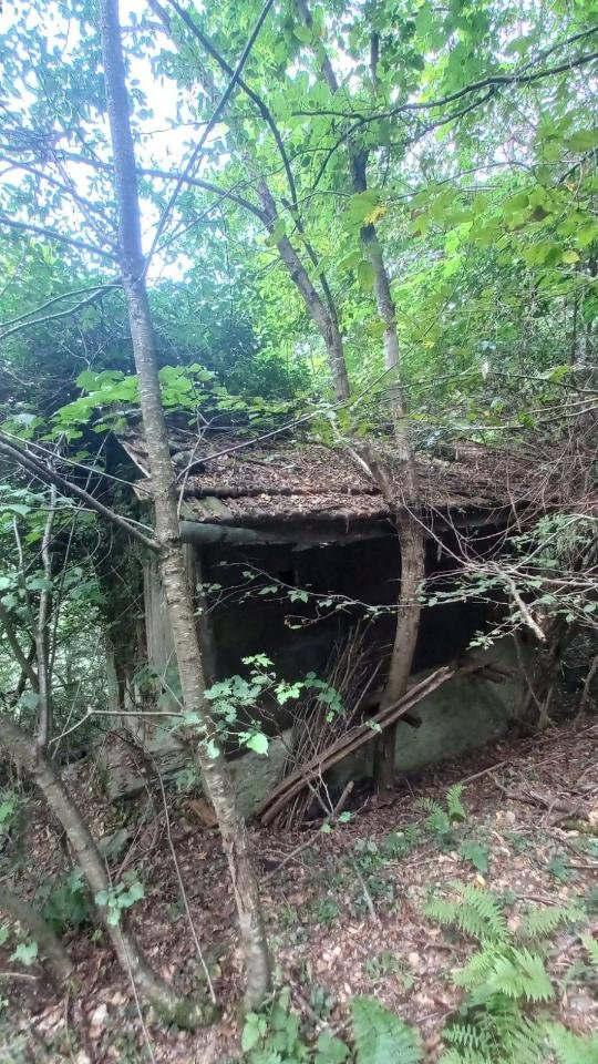 casale in vendita a Cadegliano-Viconago