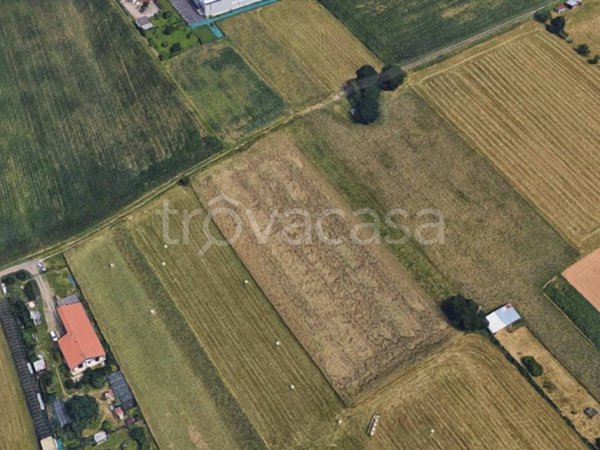 terreno agricolo in vendita a Cairate in zona Bolladello