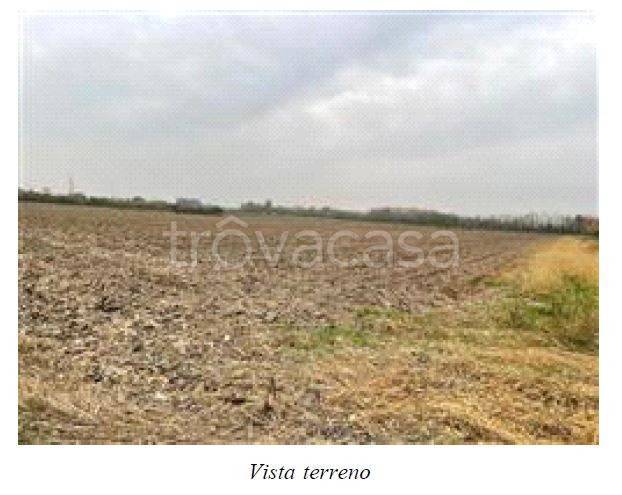 terreno edificabile in vendita a Cairate