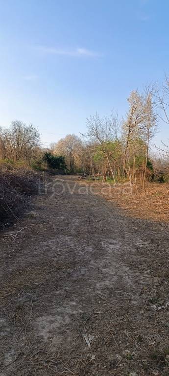 terreno agricolo in vendita a Cairate in zona Bolladello