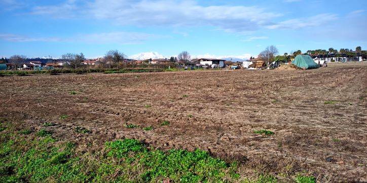 terreno agricolo in vendita a Cairate
