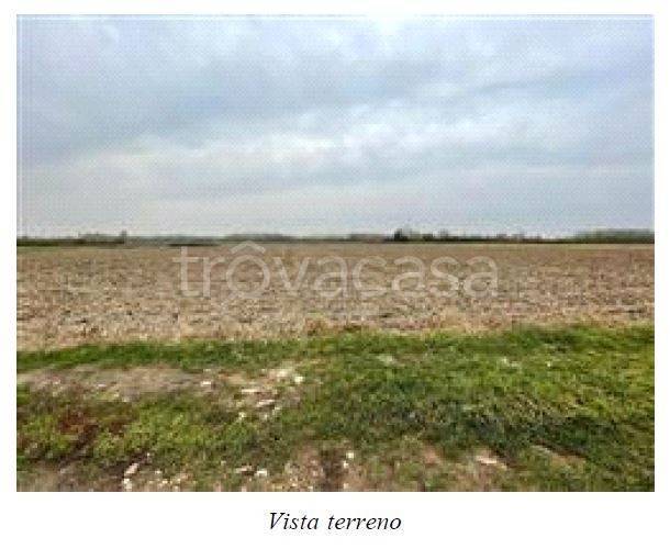 terreno edificabile in vendita a Cairate