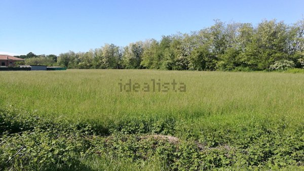 terreno agricolo in vendita a Cairate