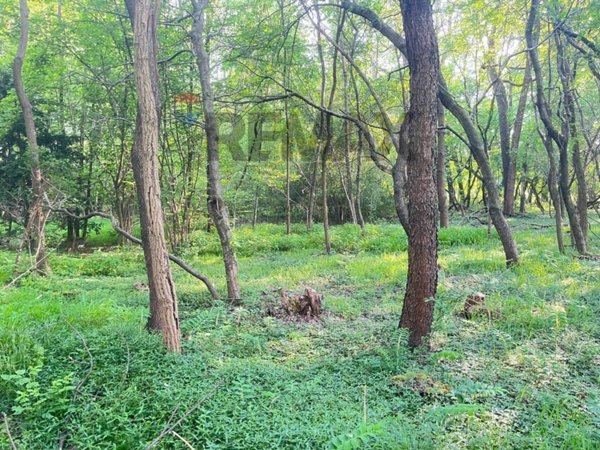 terreno agricolo in vendita a Cairate