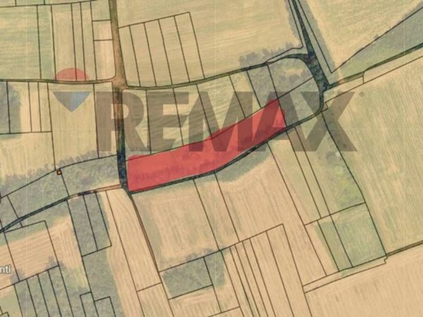 terreno agricolo in vendita a Cairate in zona Peveranza