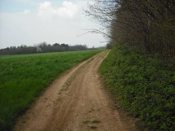 terreno agricolo in vendita a Cairate