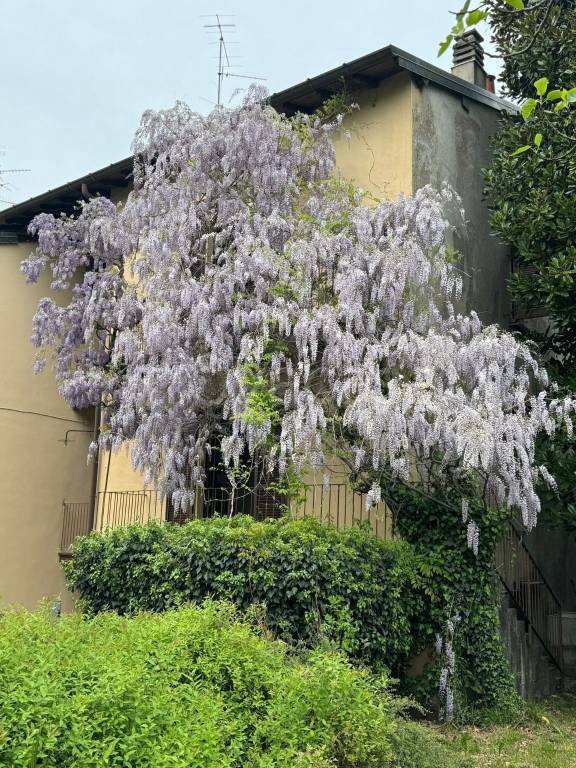 casa indipendente in vendita a Cantello in zona Gaggiolo