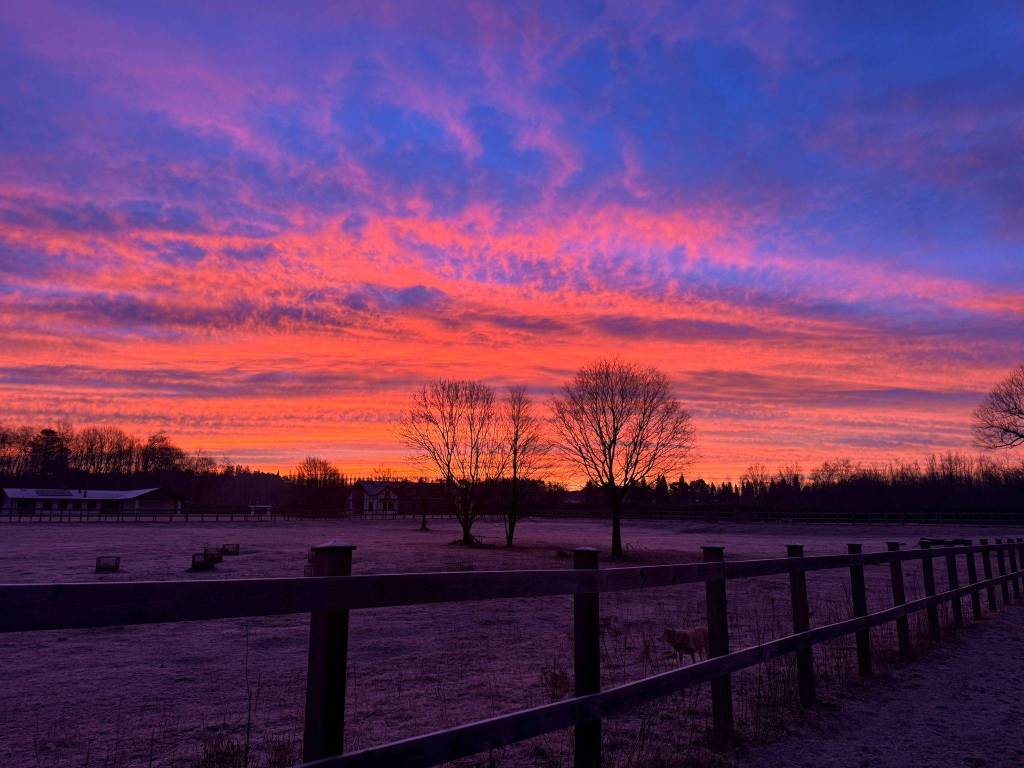 casa indipendente in vendita a Cantello