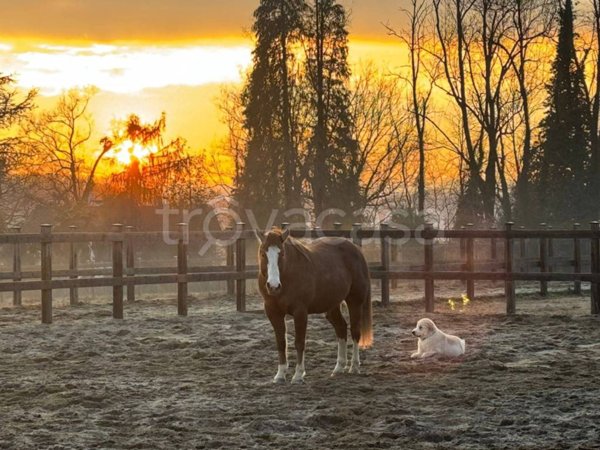 casa indipendente in vendita a Cantello