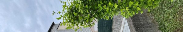 appartamento in vendita a Cantello