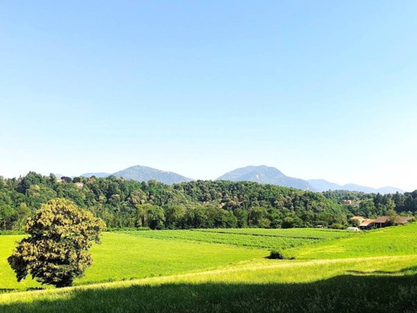 casa indipendente in vendita a Cantello