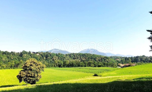 casa indipendente in vendita a Cantello