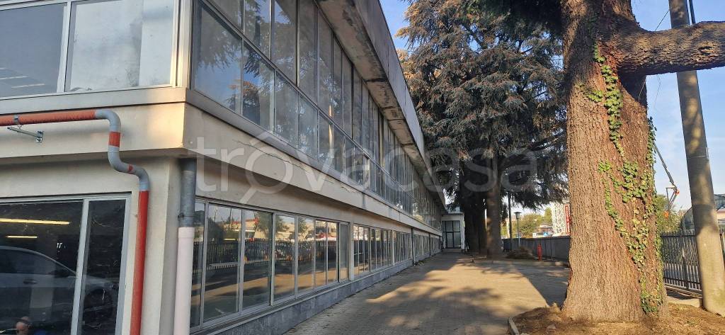 appartamento in vendita a Cardano al Campo