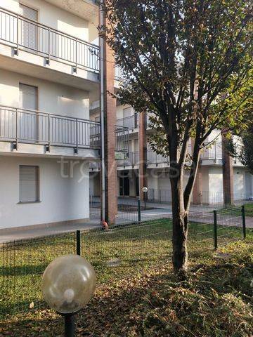 appartamento in vendita a Cardano al Campo