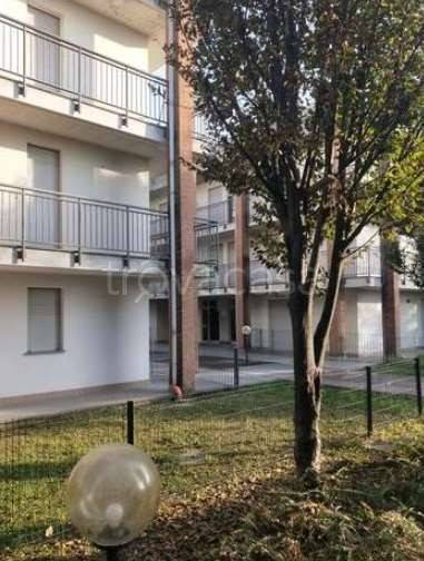 appartamento in vendita a Cardano al Campo