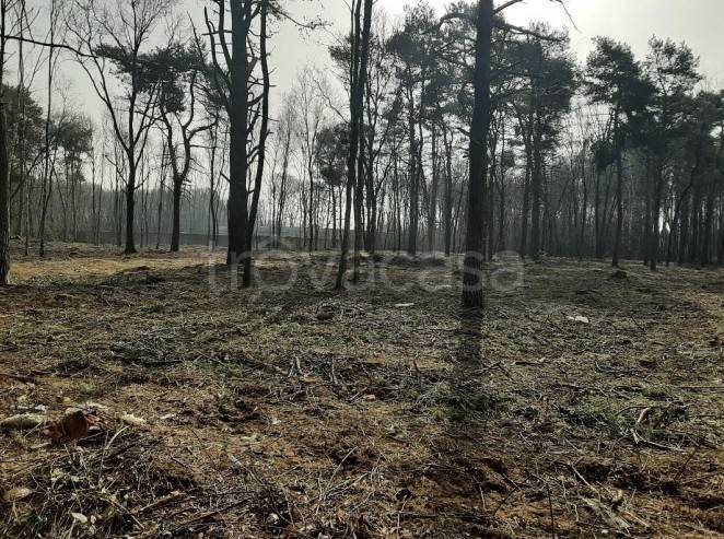 terreno agricolo in vendita a Cardano al Campo
