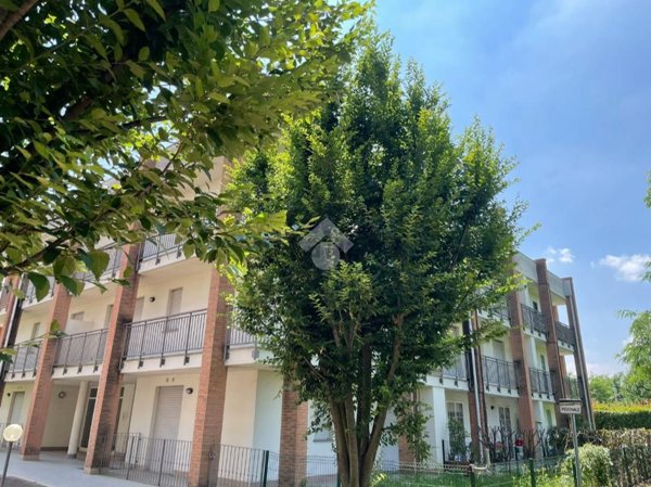 appartamento in vendita a Cardano al Campo