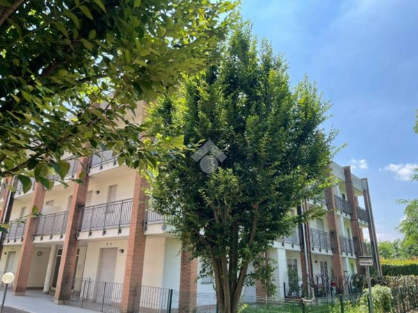 appartamento in vendita a Cardano al Campo