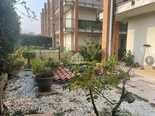 appartamento in vendita a Cardano al Campo