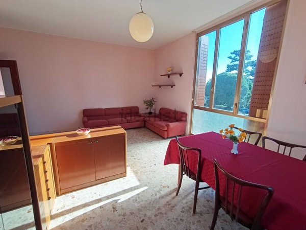 appartamento in vendita a Cardano al Campo