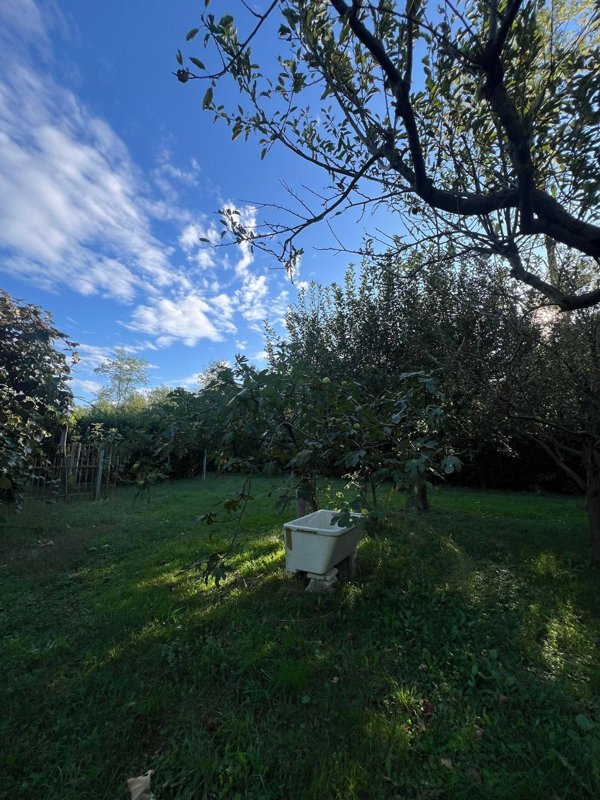 terreno agricolo in vendita a Cardano al Campo