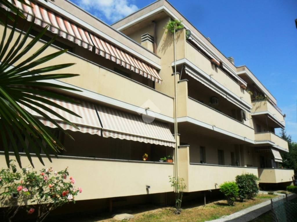 appartamento in vendita a Cardano al Campo