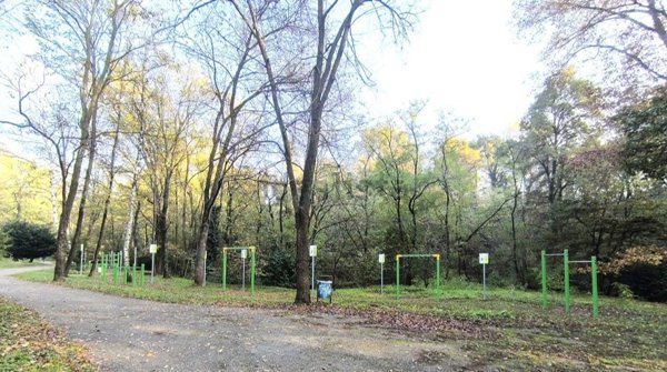 appartamento in vendita a Carnago