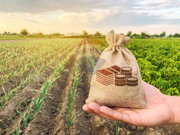 terreno agricolo in vendita a Caronno Pertusella