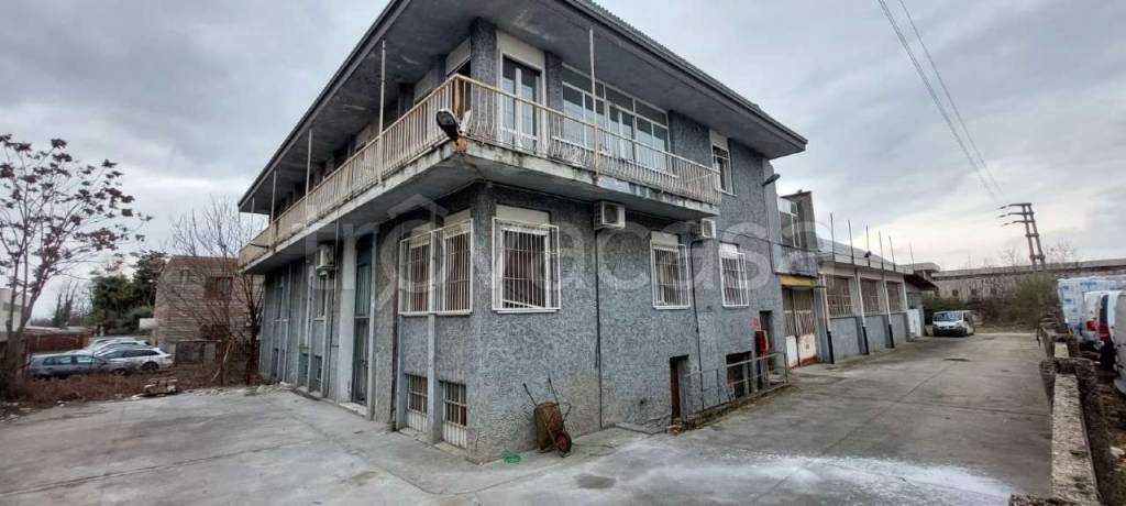 immagine annuncio 0 di 10