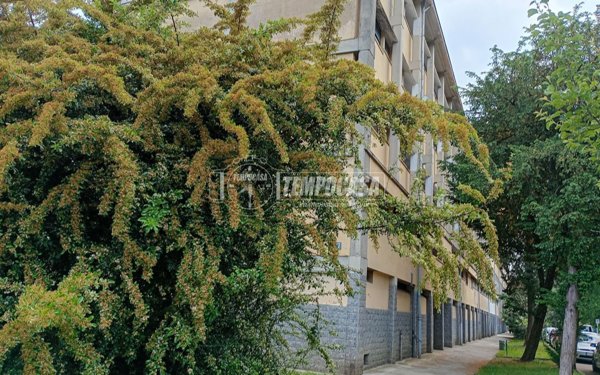 appartamento in vendita a Caronno Pertusella
