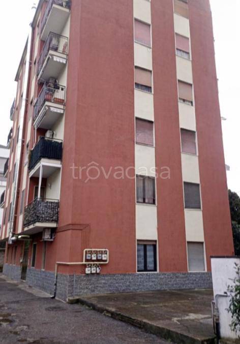 appartamento in vendita a Caronno Pertusella