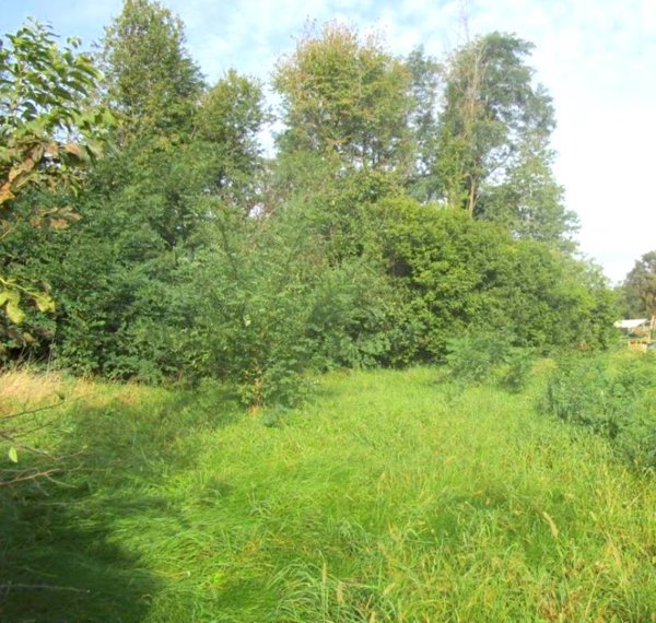 terreno edificabile in vendita a Caronno Varesino