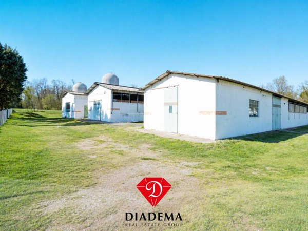 azienda agricola in vendita a Caronno Varesino in zona Stribiana