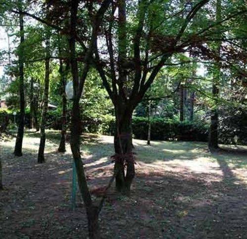 terreno agricolo in vendita a Casale Litta