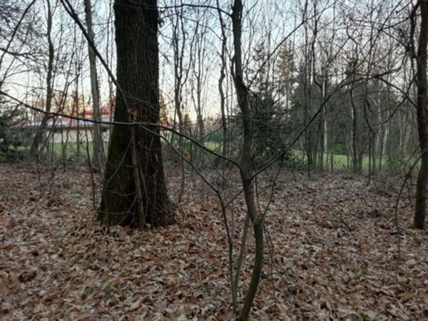 terreno agricolo in vendita a Casorate Sempione