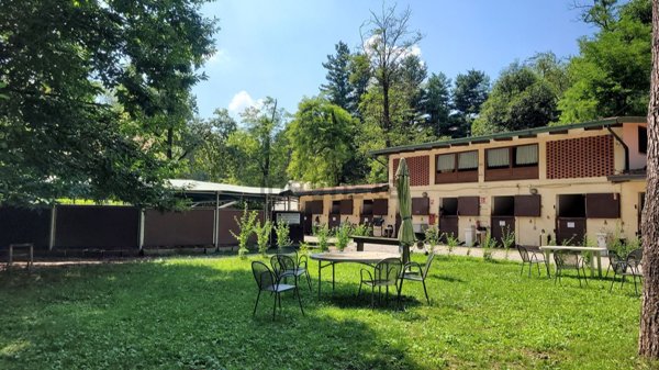 appartamento in vendita a Casorate Sempione