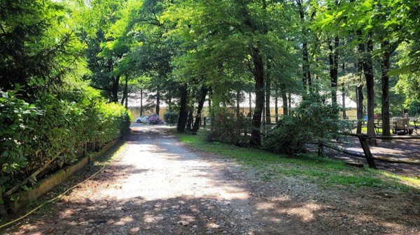 appartamento in vendita a Casorate Sempione