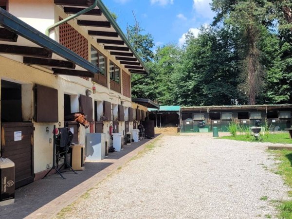 casa indipendente in vendita a Casorate Sempione