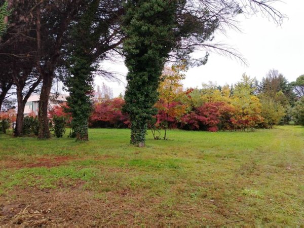 terreno edificabile in vendita a Cassano Magnago