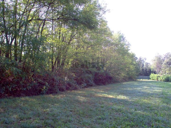 terreno agricolo in vendita a Cassano Magnago