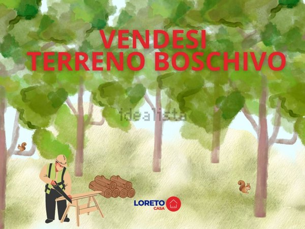 terreno in vendita a Cassano Magnago