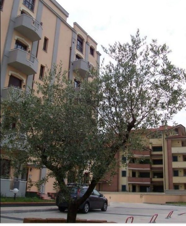 appartamento in vendita a Castellanza