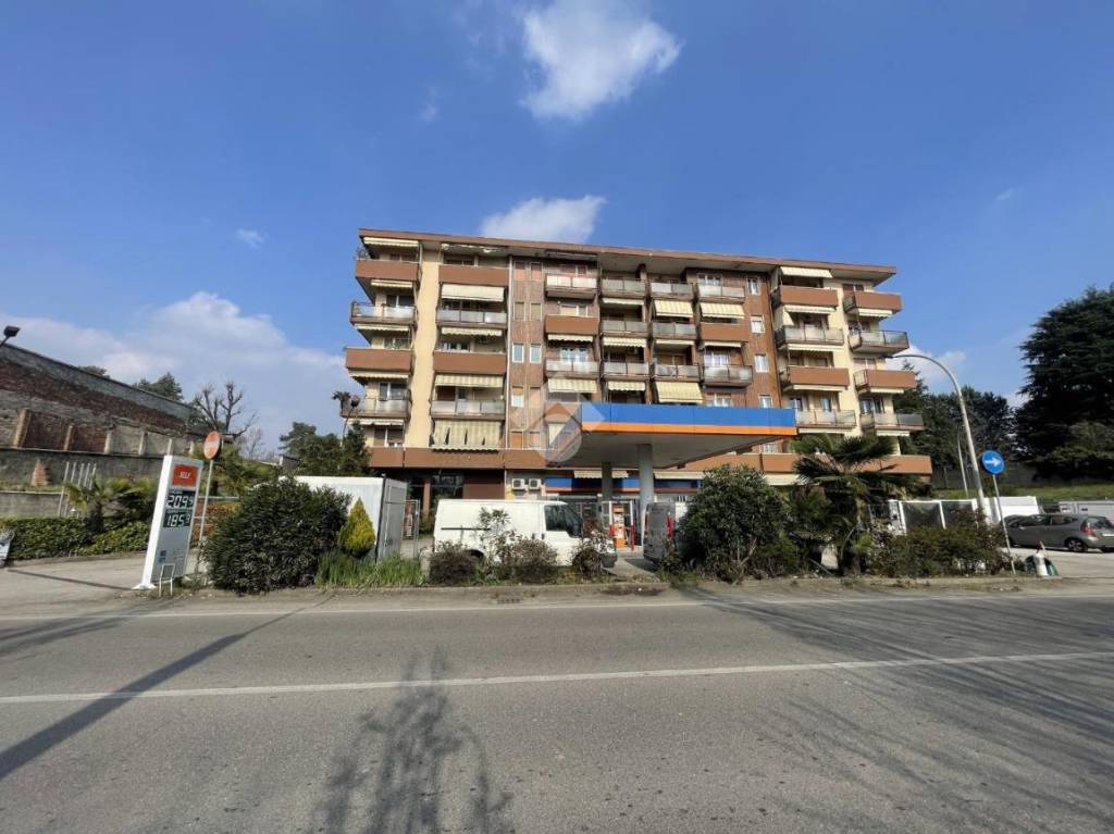 immagine annuncio 0 di 15