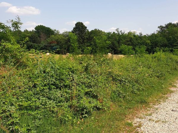 terreno agricolo in vendita a Castellanza