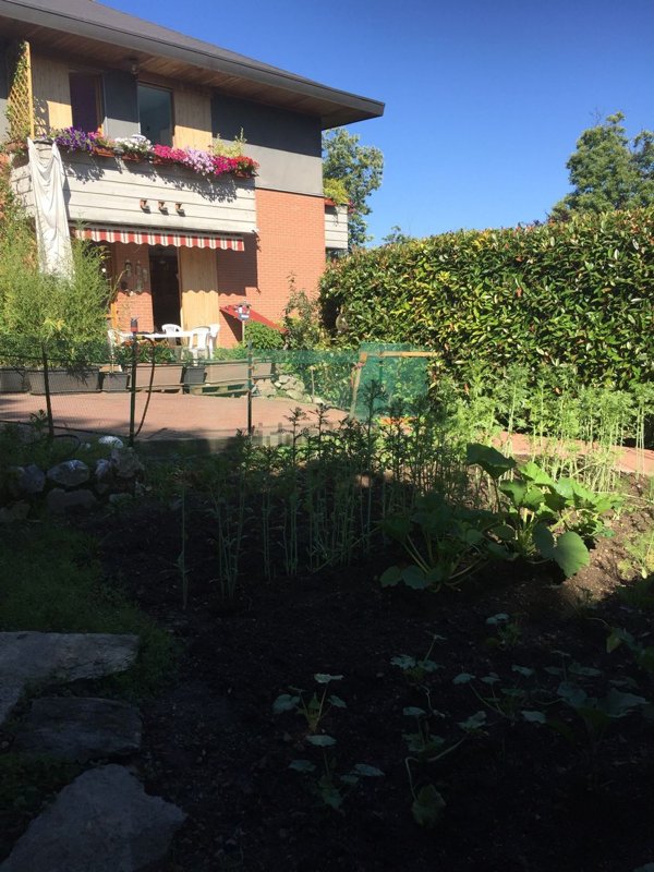 casa indipendente in vendita a Castello Cabiaglio