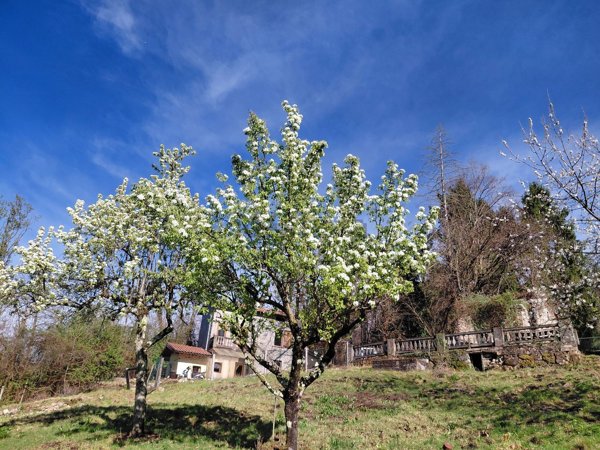 casale in vendita a Castelveccana