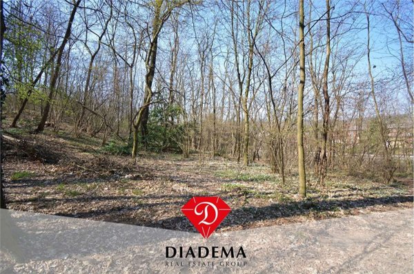 terreno agricolo in vendita a Castronno